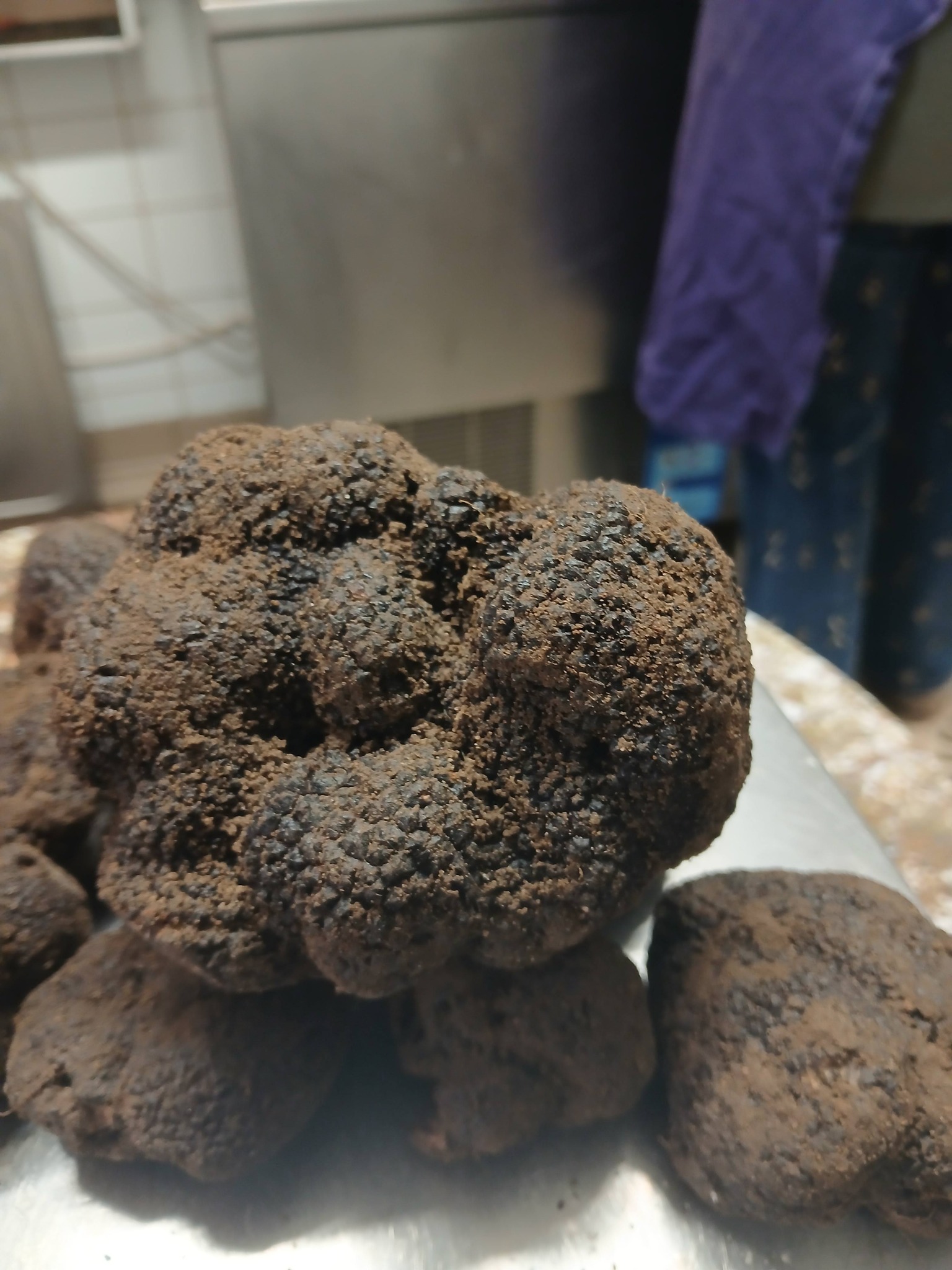Vente de truffe tous les lundis matins au marché